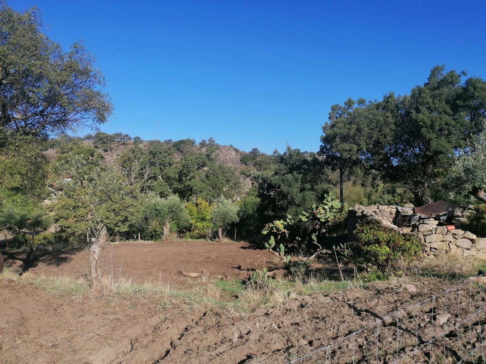 Casas De Marvao - Quinta Da Bela Vista Βίλα Εξωτερικό φωτογραφία